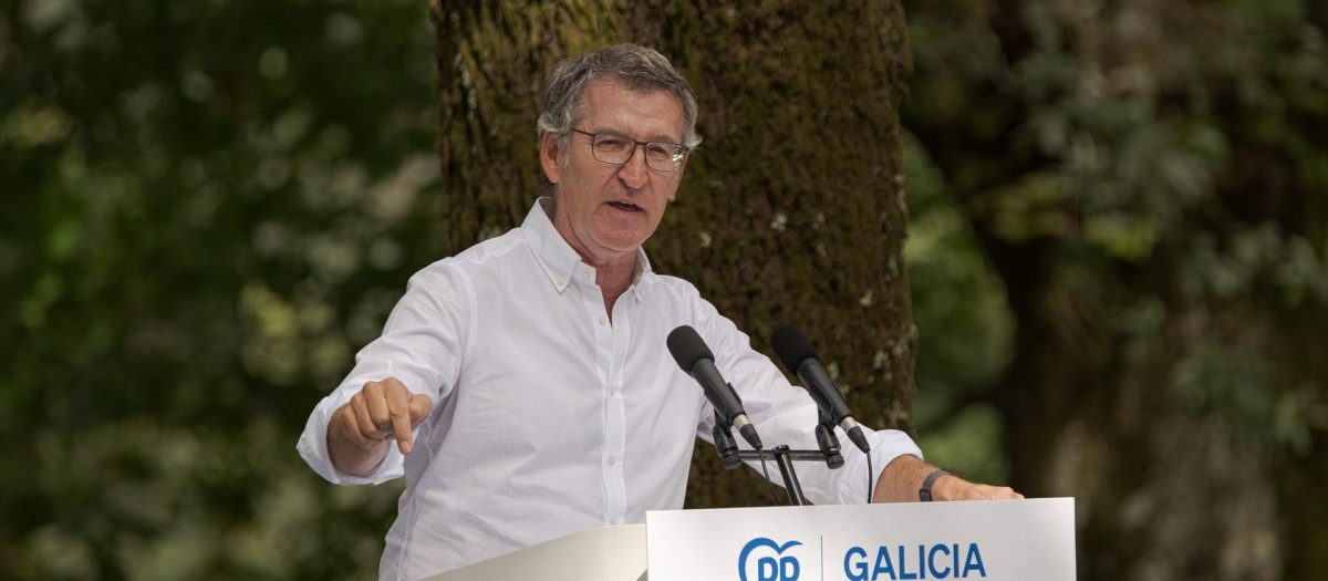 El presidente del PP, Alberto Núñez Feijóo