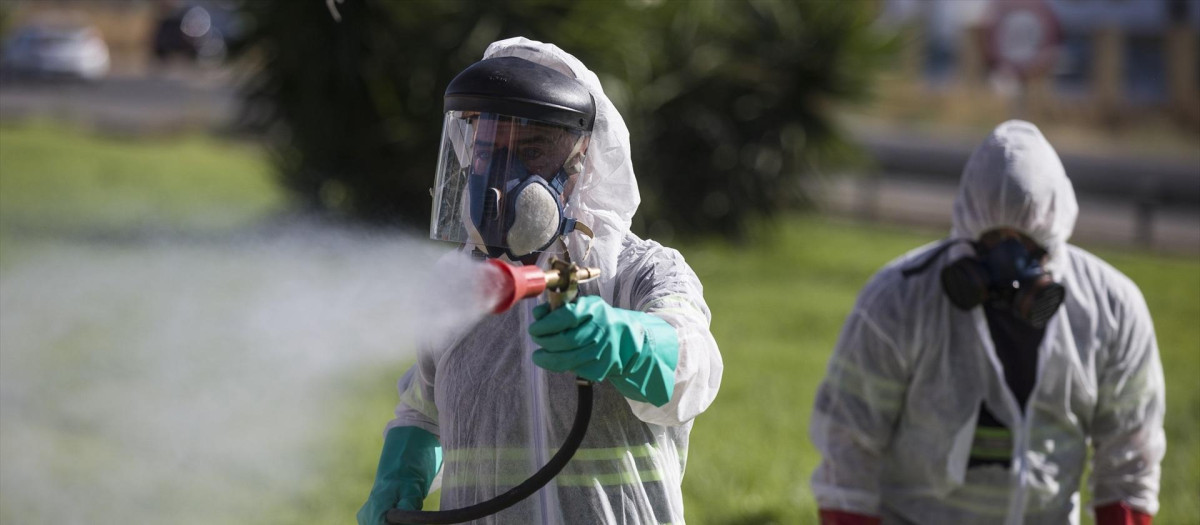 Dos trabajadores durante las labores de fumigación contra los mosquitos causantes del virus del Nilo en Coria del Río