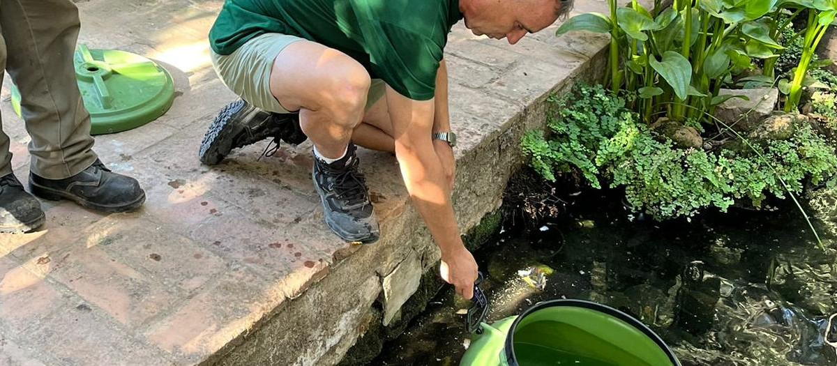Reintroducen 300 ejemplares de salinetes en el Zoo de Córdoba
