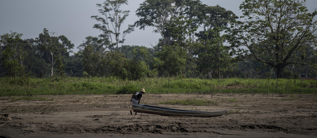 La Amazonía brasileña azotada por la sequía
