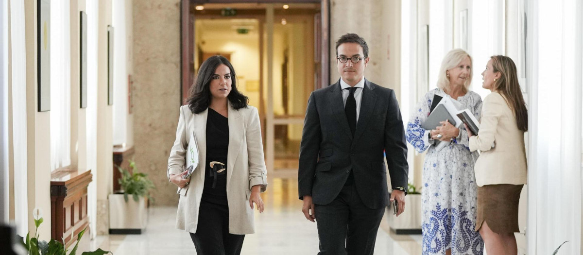 La portavoz parlamentaria de Vox Pepa Millán (i) y el diputado José María Figaredo en los pasillos del Congreso
