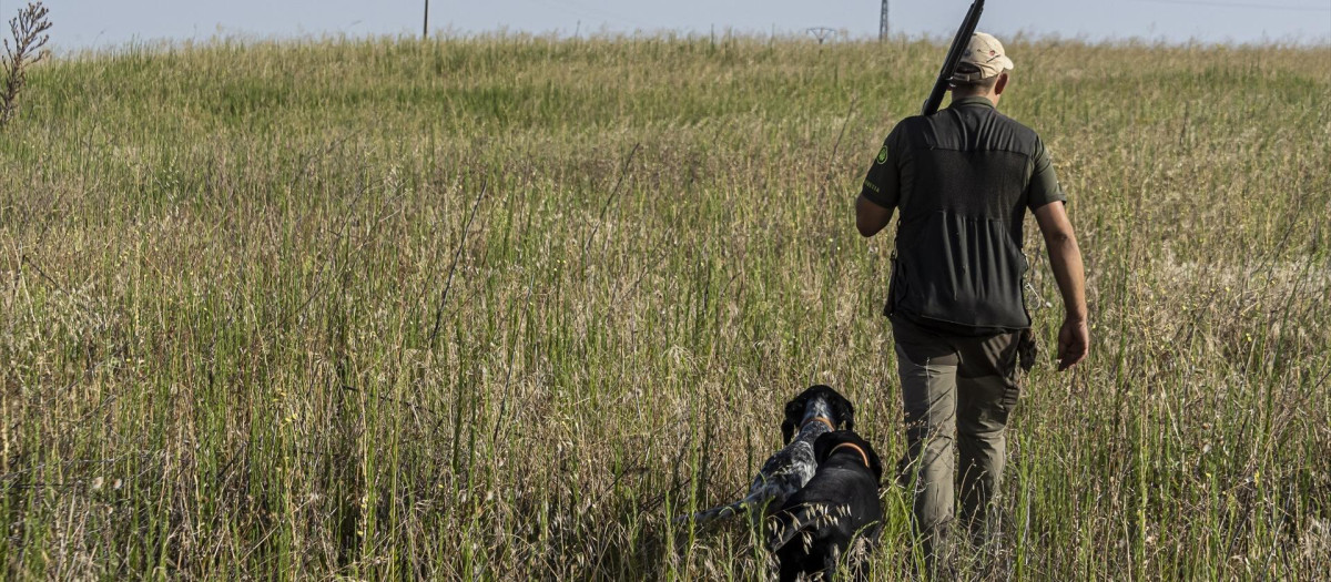 Un cazador junto a sus perros durante una cacería