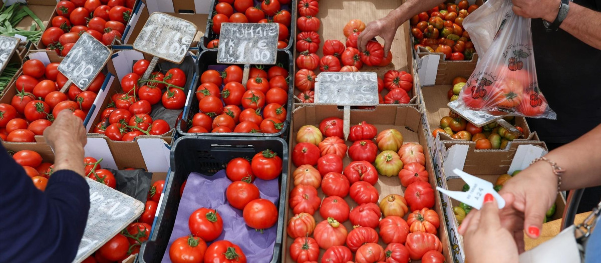 Cajas de tomates en un mercado de la Comunidad de Madrid.