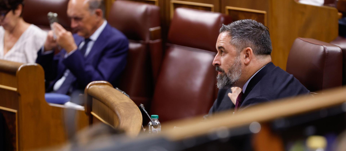 El líder de Santiago Abascal, durante una sesión plenaria en el Congreso