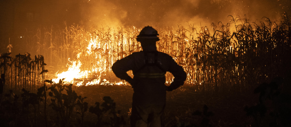 La silueta de un bombero es fotografiada durante un incendio forestal en Ribeira de Fraguas, Albergaria-a-Velha en Aveiro