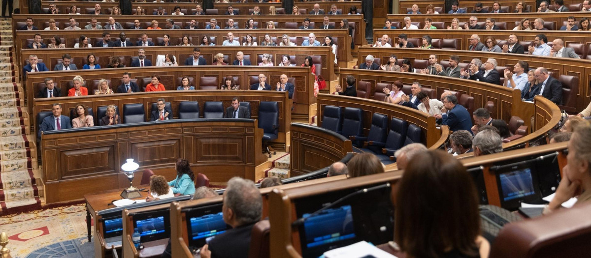Vista general de las votaciones durante un pleno en el Congreso de los Diputados
