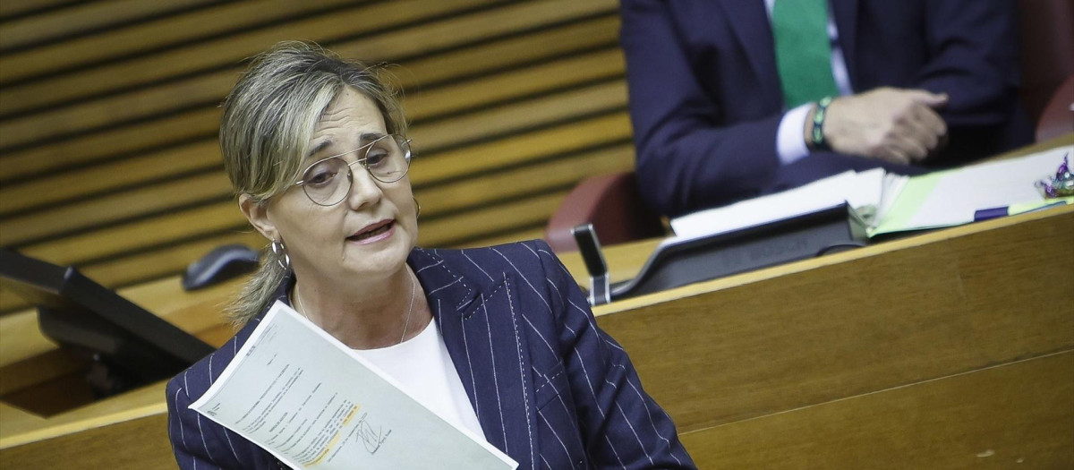La portavoz de Política Social del Partido Popular en las Cortes Valencianas, Elena Bastidas