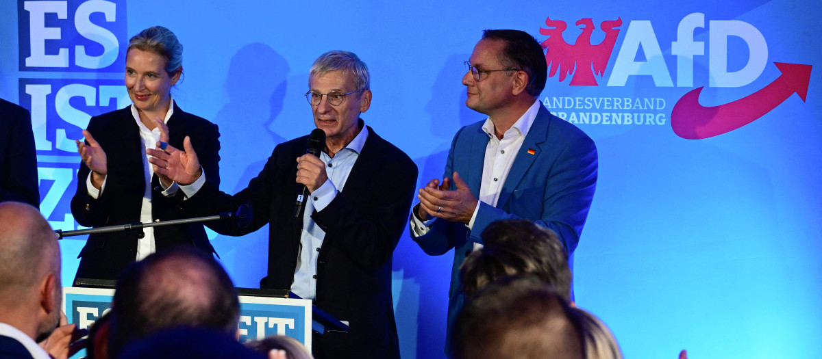 Alternativa para Alemania (AfD) celebra los resultados en las elecciones regionales de Brandeburgo