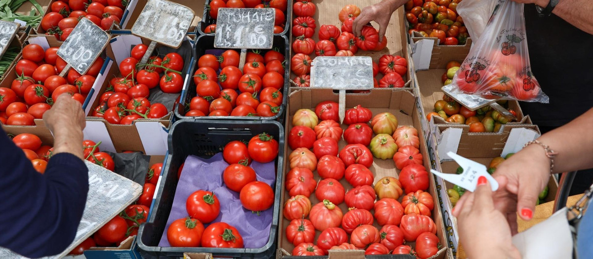 Cajas de tomates en un mercado de la Comunidad de Madrid.