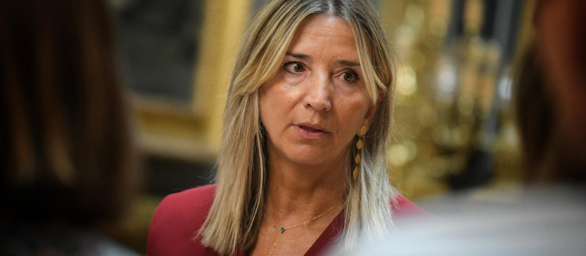 La portavoz del PP en el Senado, Alicia García