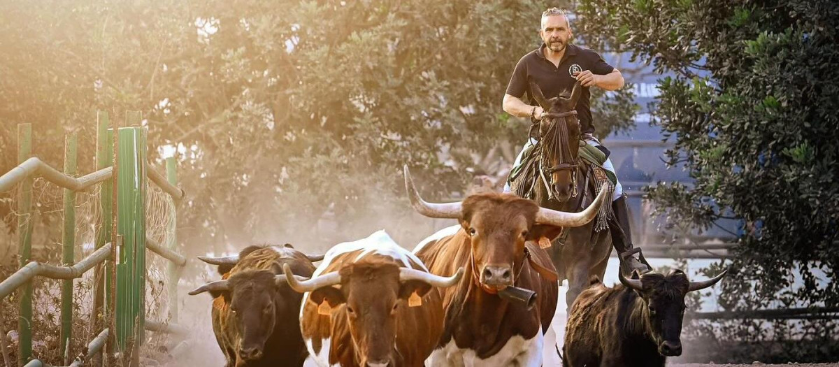 Imagen de la ganadería 'Daniel Ramos' de Borriol, Castellón