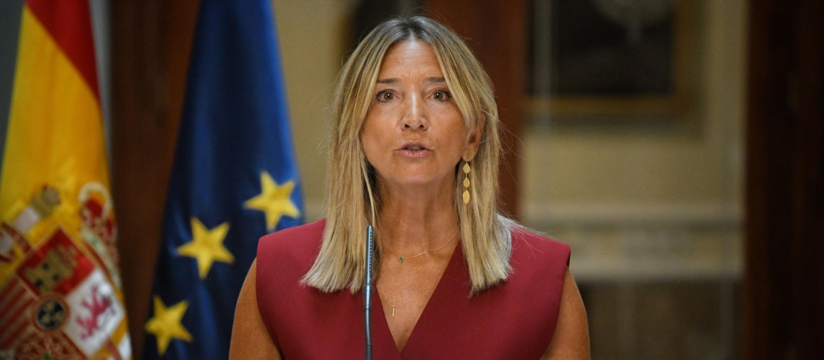 La portavoz del PP en el Senado, Alicia García