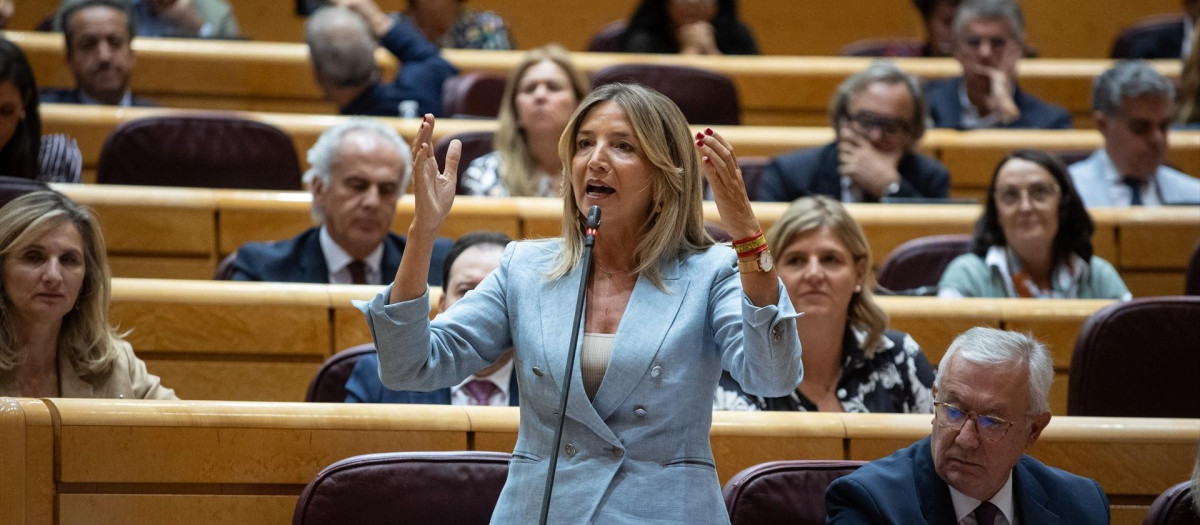 La portavoz del PP en el Senado, Alicia García