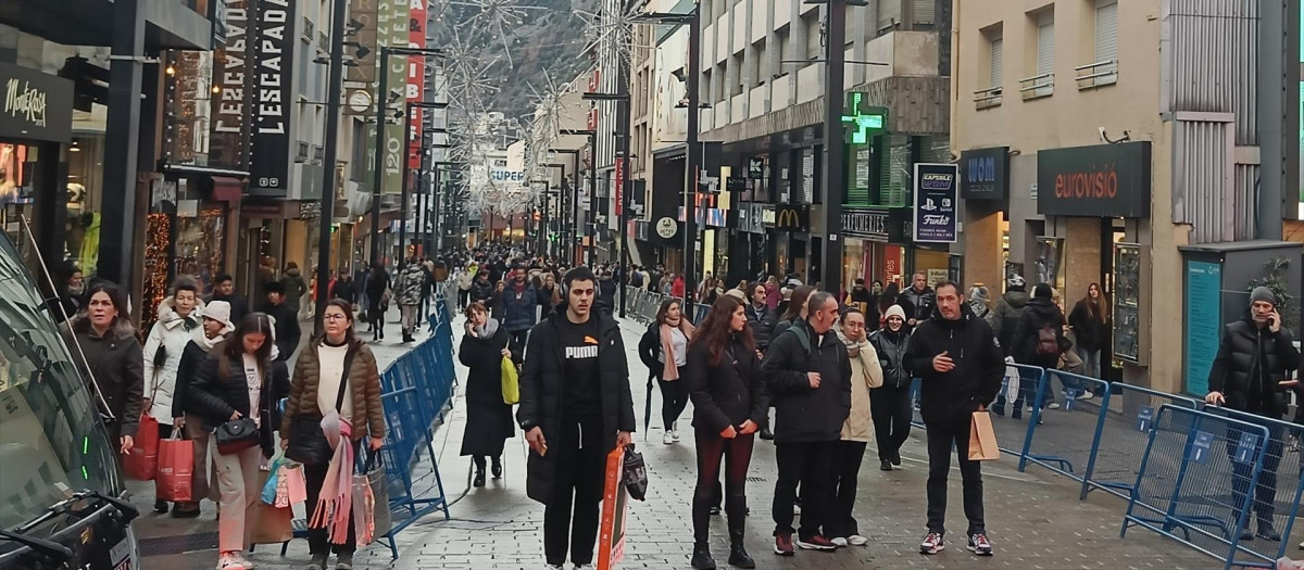(Foto de ARCHIVO)
Turistas en la avenida Meritxell durante las fiestas navideñas
EUROPA PRESS
11/1/2024