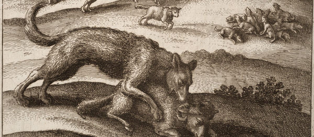 Wenceslas Hollar: Lobos y oveja