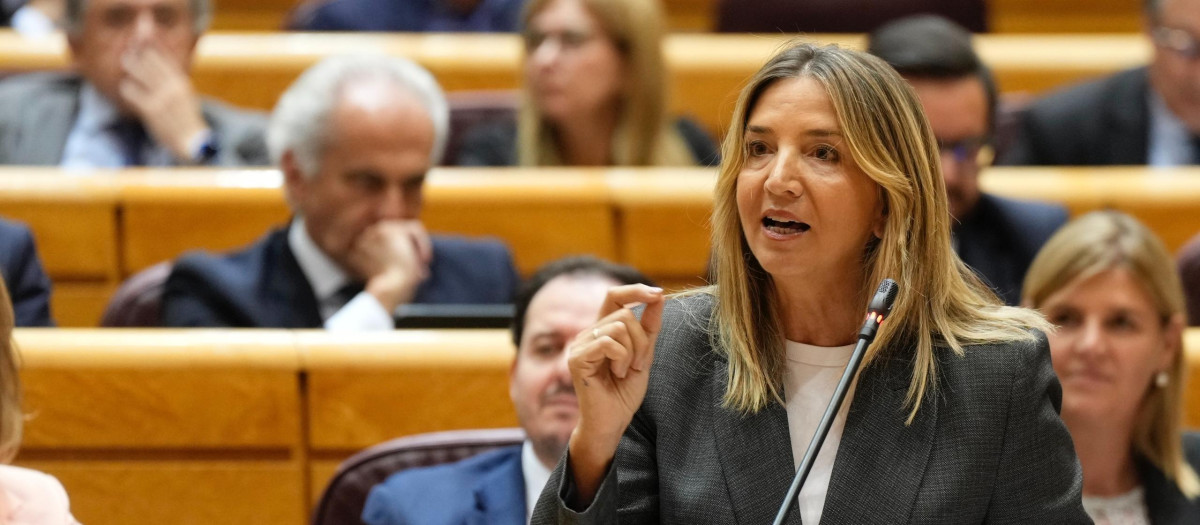 La portavoz del PP en el Senado, Alicia García