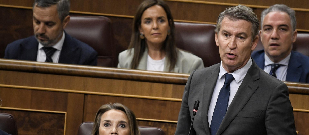 El presidente del PP, Alberto Núñez Feijóo.
