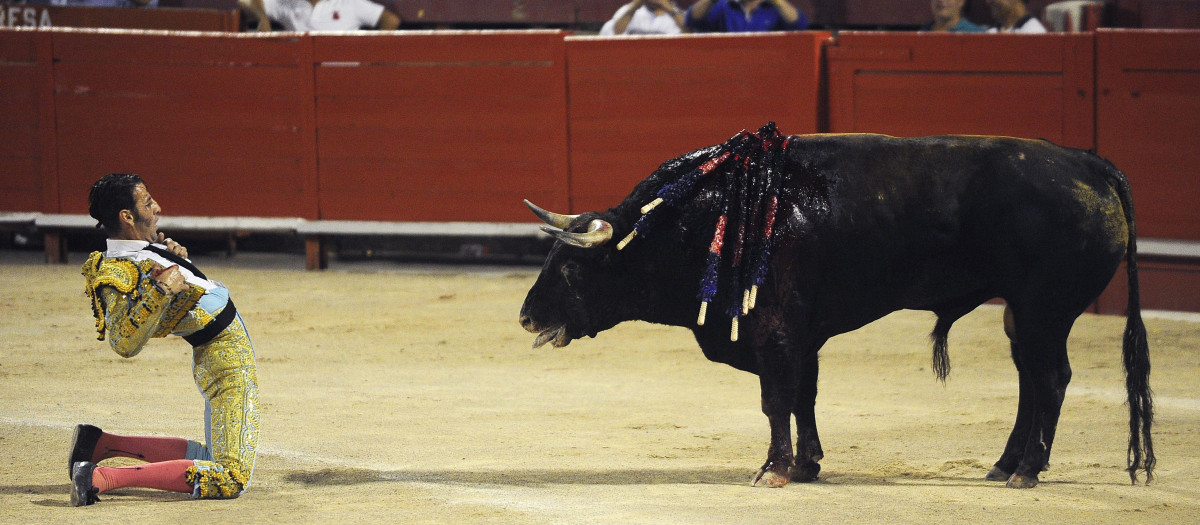 El torero Juan José Padilla durante una corrida de toros en Palma de Mallorca.
