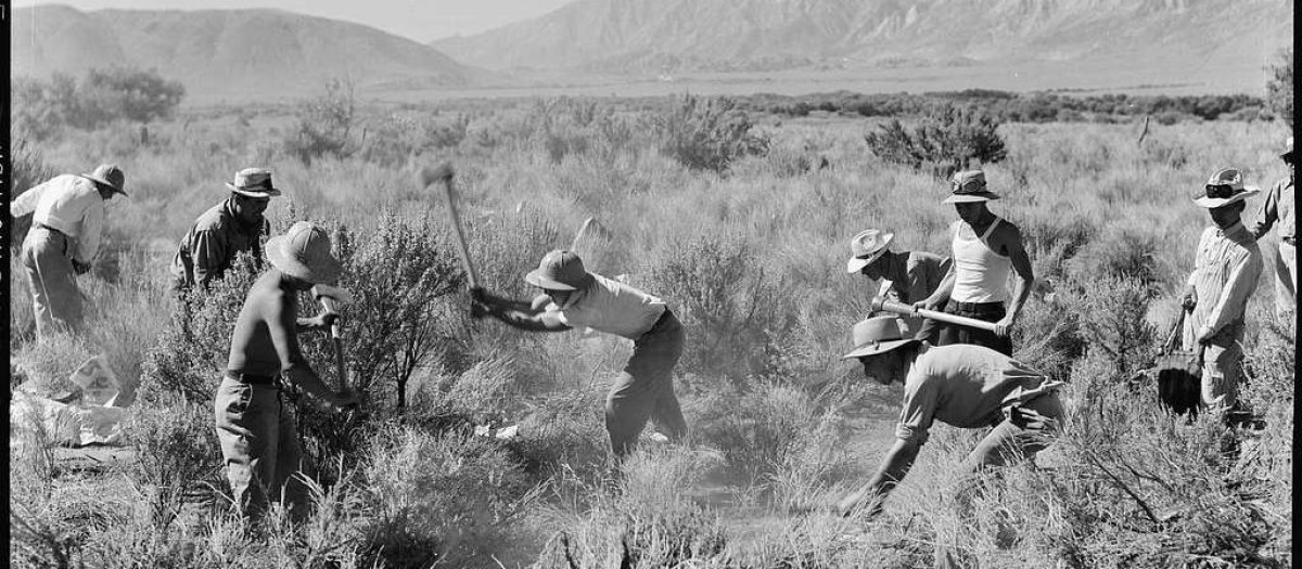Trabajadores en los campos de Manzanar. American National Archives