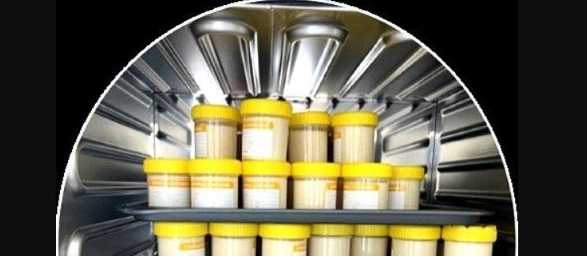 Nuevo lote de yogur de altramuz en el Laboratorio de Innovación Alimentaria de Monash.