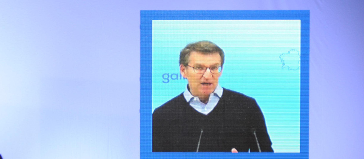 Alberto Núñez Feijóo interviene por videoconferencia en una foto de archivo