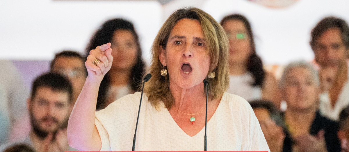 Teresa Ribera, vicepresidenta tercera y ministra para la Transición Ecológica y el Reto Demográfico