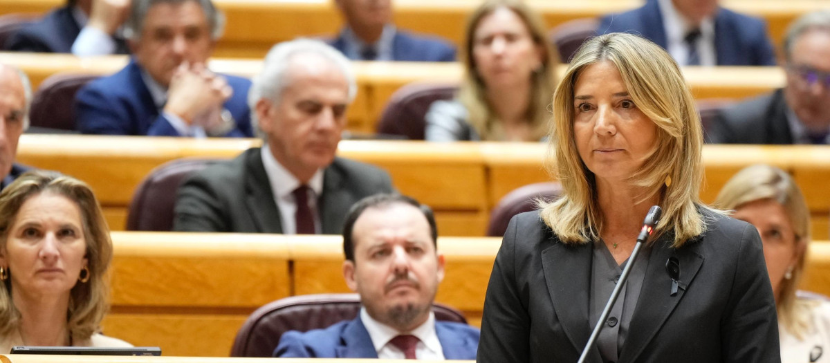 Alicia García, portavoz del PP en el Senado
