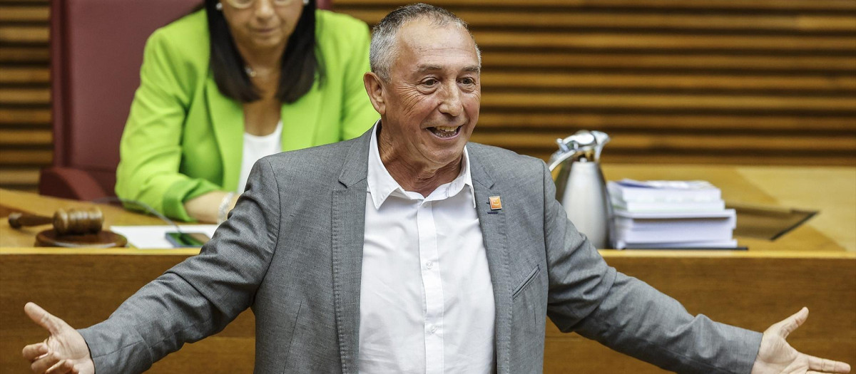 El diputado de Compromís en las Cortes Valencianas, Joan Baldoví