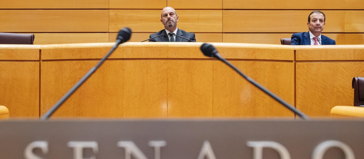 El presidente del Senado, Pedro Rollán, durante una sesión plenaria