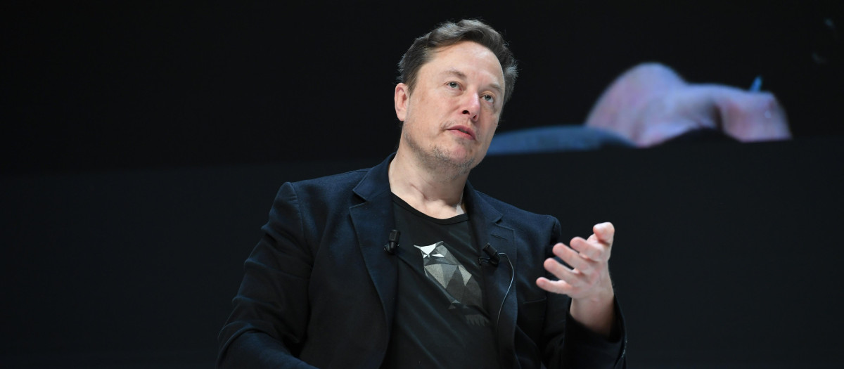 Elon Musk  during the Cannes Lions Festival 2024 on June 19, 2024 in Cannes, France.