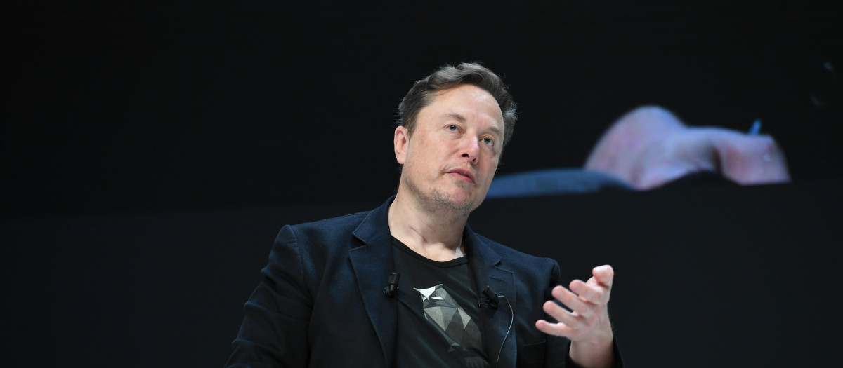Elon Musk  during the Cannes Lions Festival 2024 on June 19, 2024 in Cannes, France.
