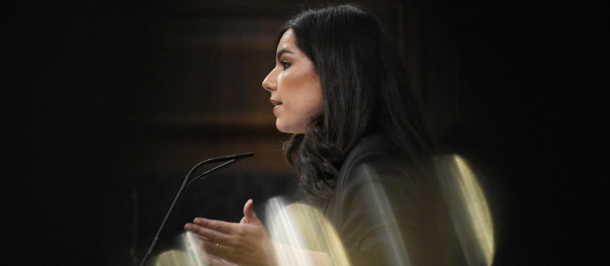 La portavoz del grupo parlamentario de Vox en el congreso, Pepa Millán, durante el Pleno del Congreso