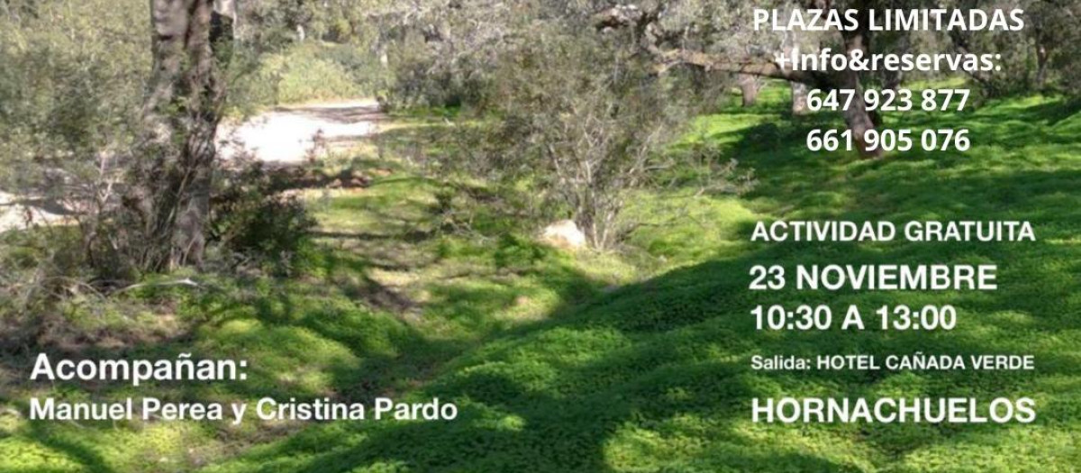 Cartel nu
Cartel anunciador de la actividad `Baños del Bosque´