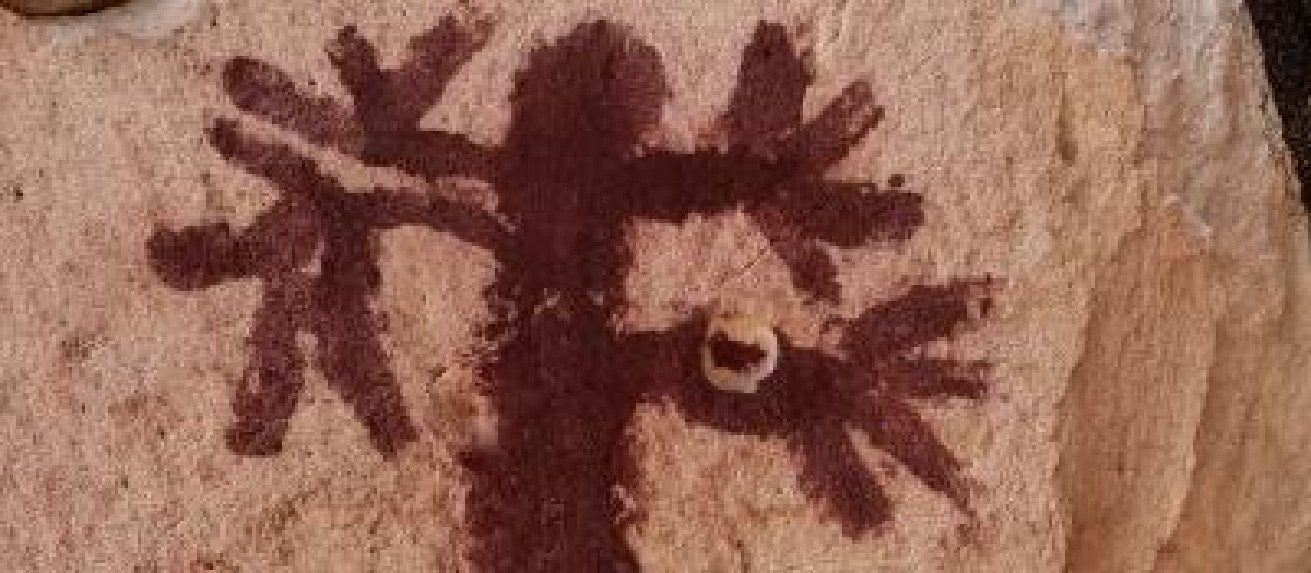 Detalle de una pintura de arte rupestre de Roboré
