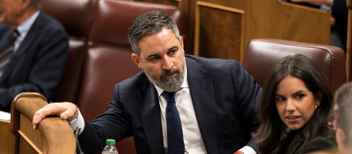 Santiago Abascal y Pepa Millán en el Congreso de los Diputados