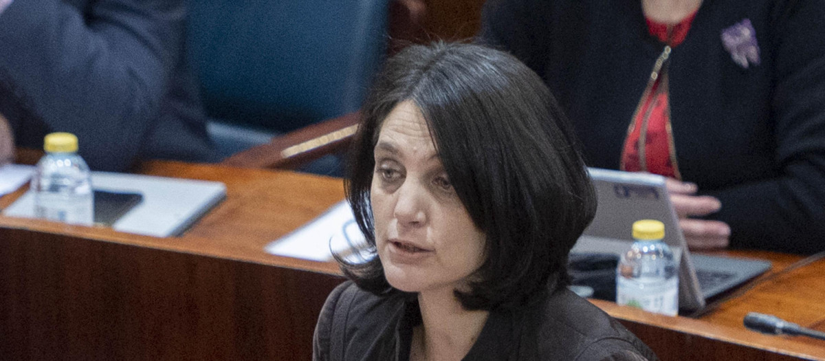 La socialista Pilar Sánchez Acera en un pleno de la Asamblea de Madrid