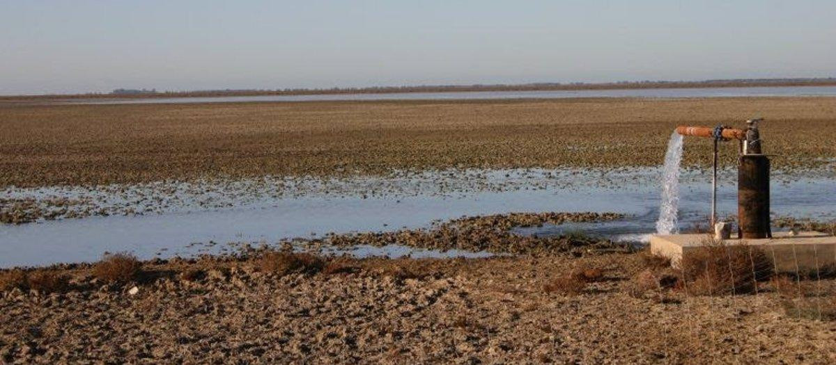 Pozo en Doñana