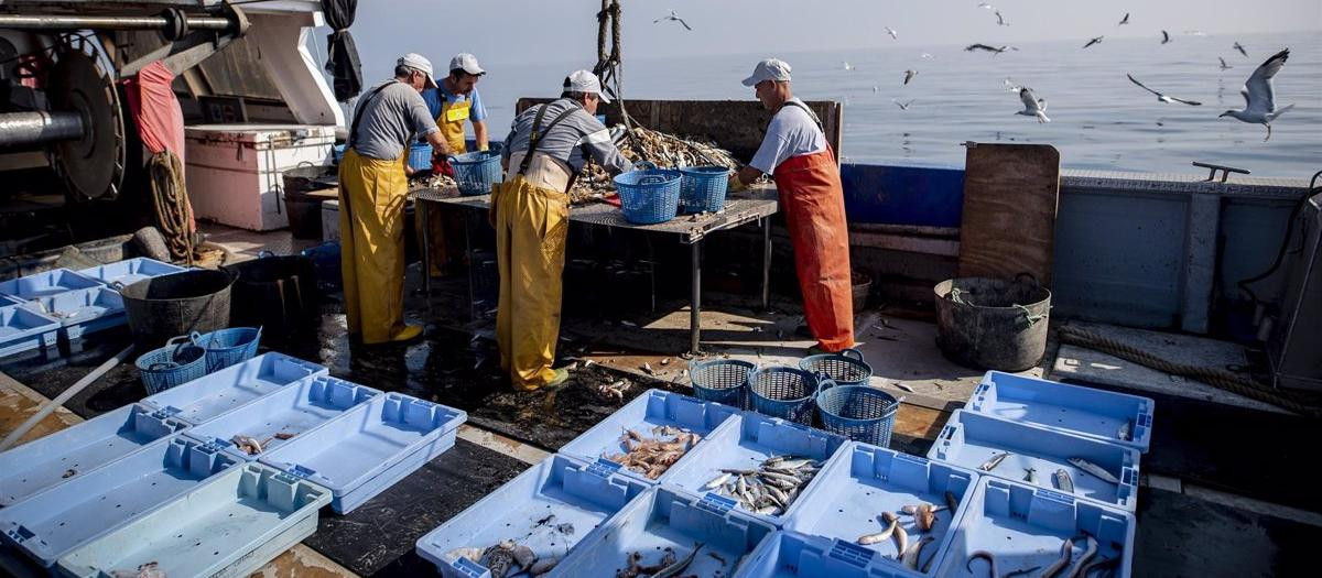 Pescadores valencianos, en una imagen de archivo