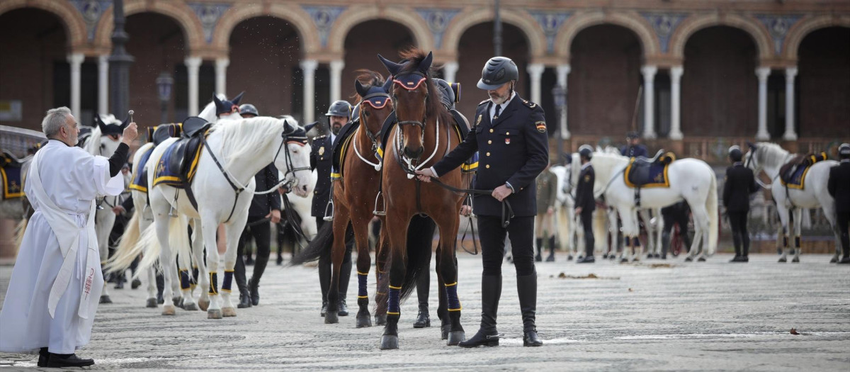 La Plaza de España ha acogido el acto de reconocimiento a las unidades caninas y de caballería de la Policía por el día de San Antón