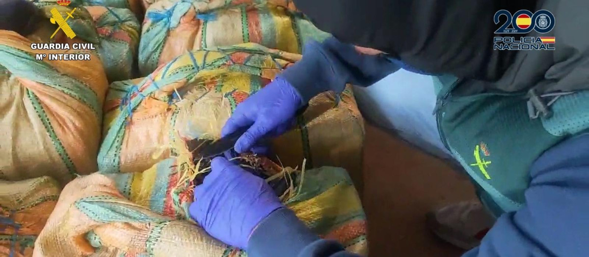 Un agente de la Guardia Civil con parte de la droga incautada en Huelva