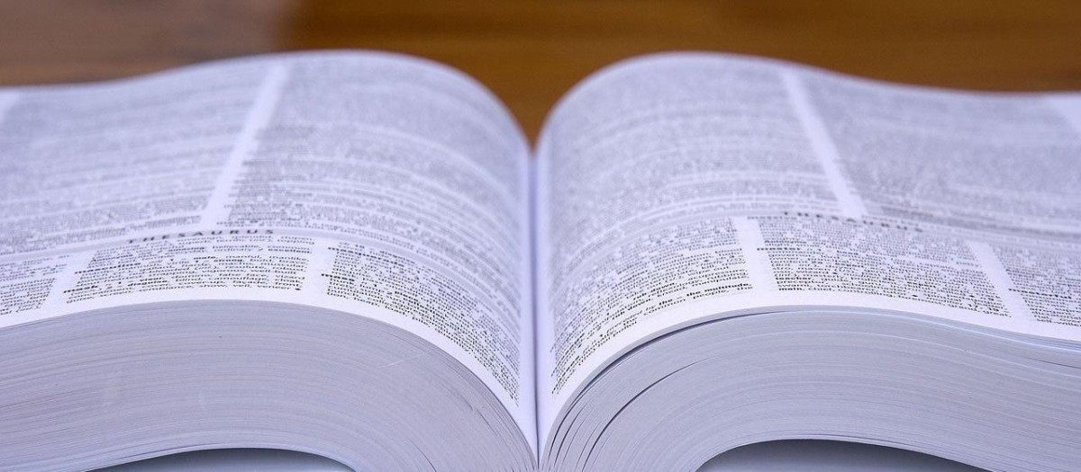 Diccionario de la RAE.