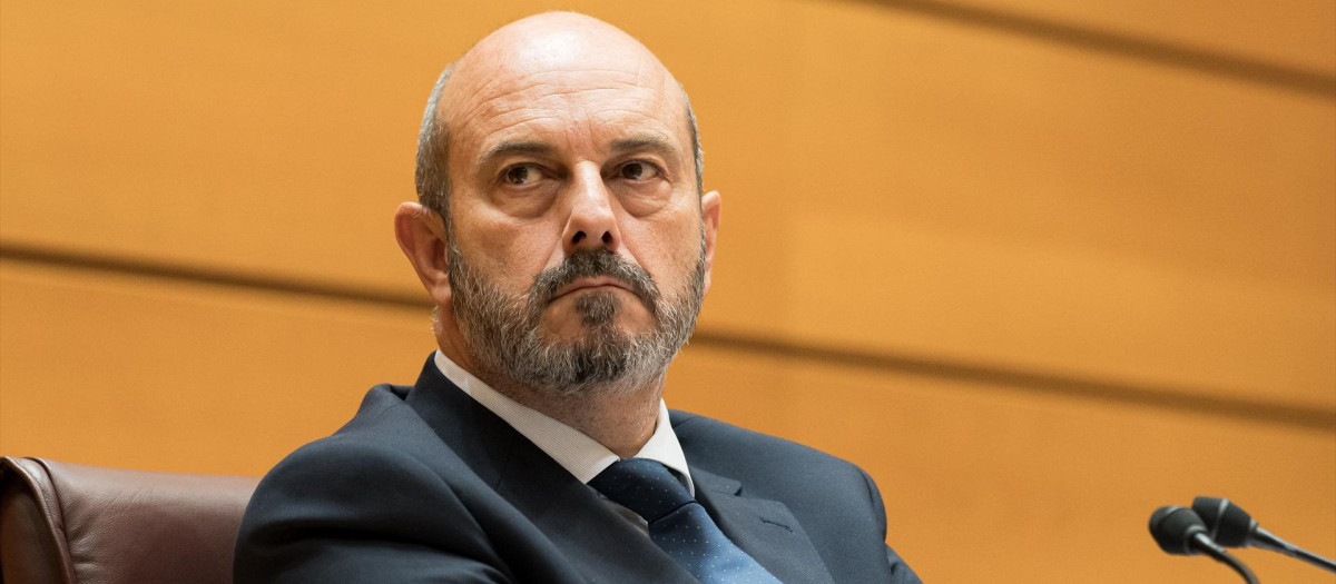 El presidente del Senado, Pedro Rollán