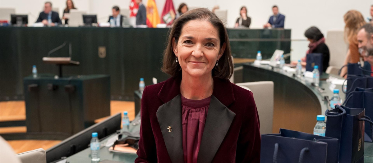 La portavoz del PSOE en el Ayuntamiento de Madrid, Reyes Maroto