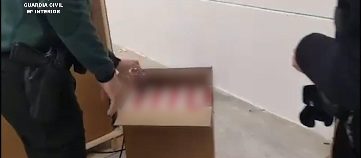 Cajetillas de tabaco ilegal incautadas en una nave industrial de Casariche