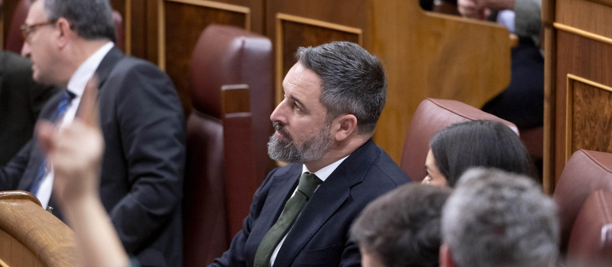 El presidente de Vox, Santiago Abascal, en una sesión plenaria