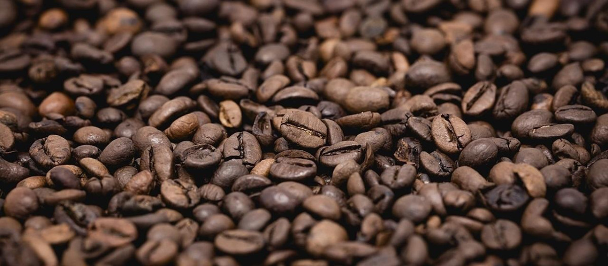Café en grano