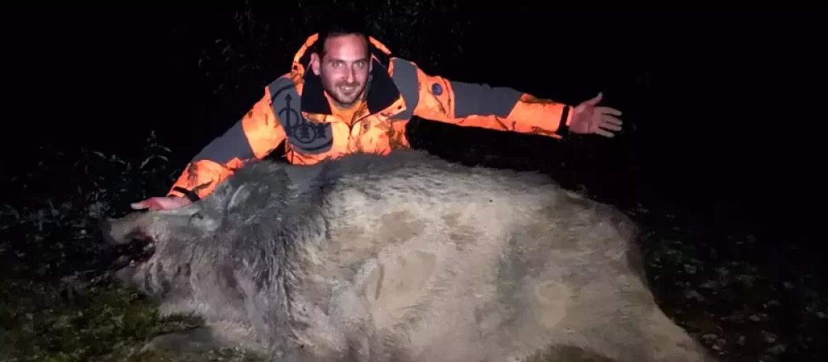 Francisco Romo, junto al jabalí que cazó de más de 200 kilos