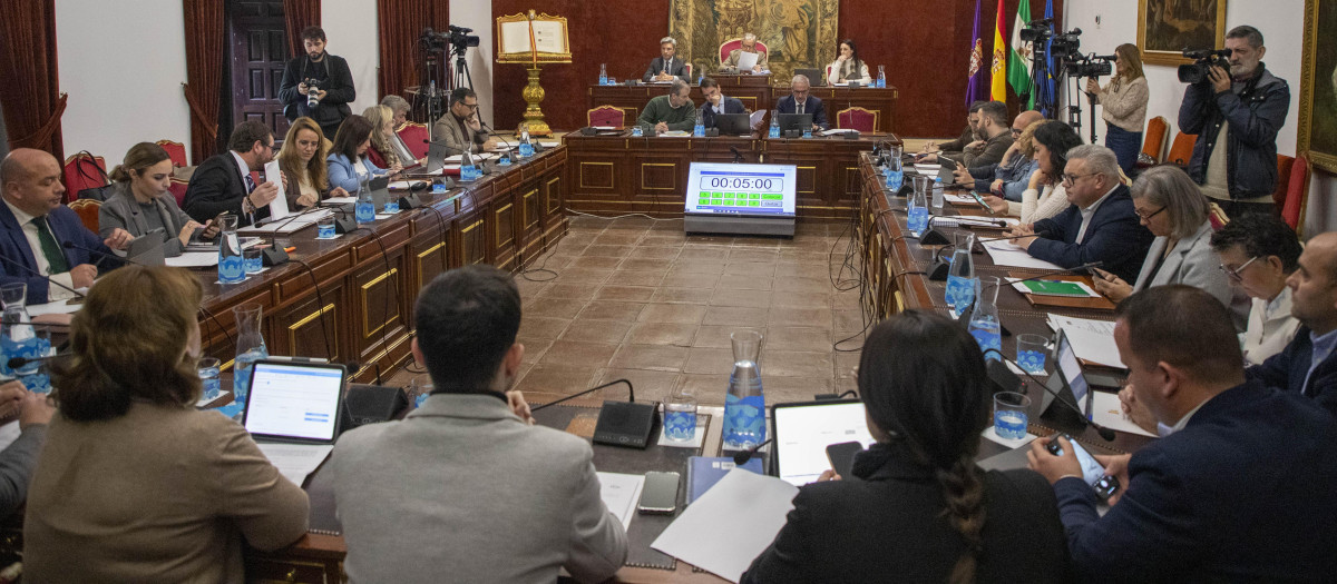 Pleno de la Diputación