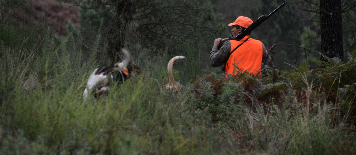 Un cazador en los montes de Cameixa, en el municipio ourensano de Boborás