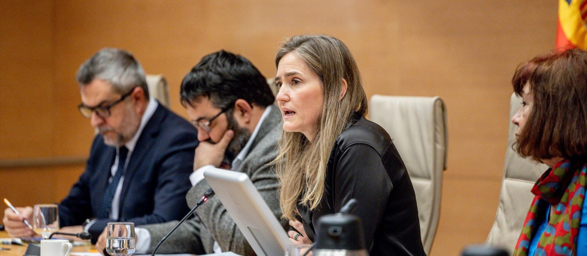 La vicepresidenta tercera del Gobierno y ministra para la Transición Ecológica y Reto Demográfico, Sara Aagesen, en el Congreso.